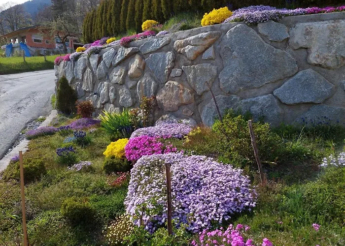 - Haus Sieberer Apartment