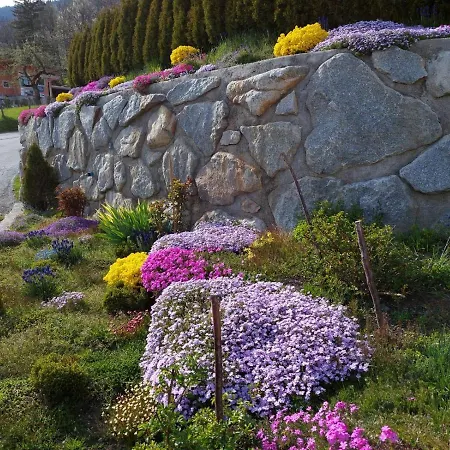 - Haus Sieberer アパート